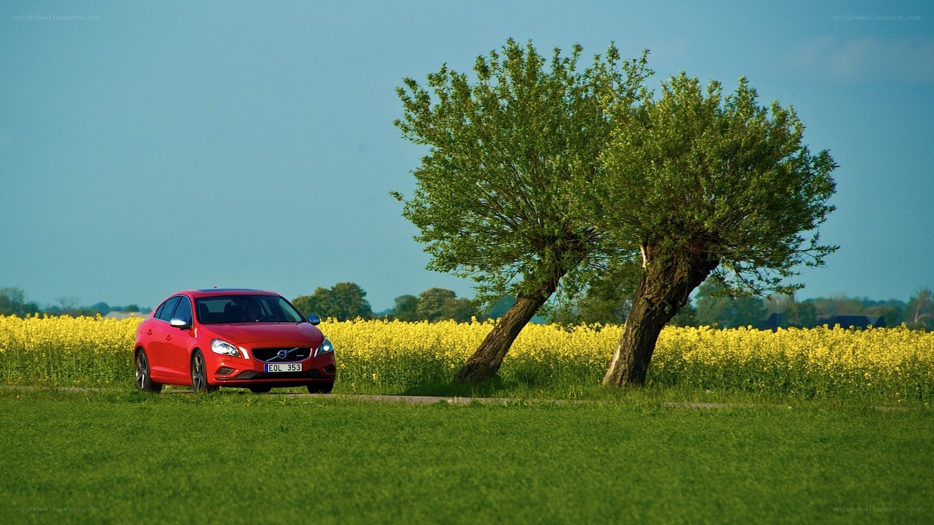 Red car in a field