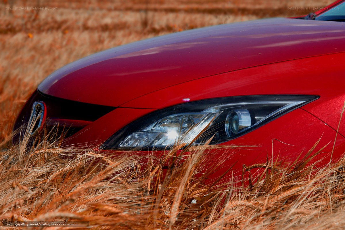 Red car in a wheat field