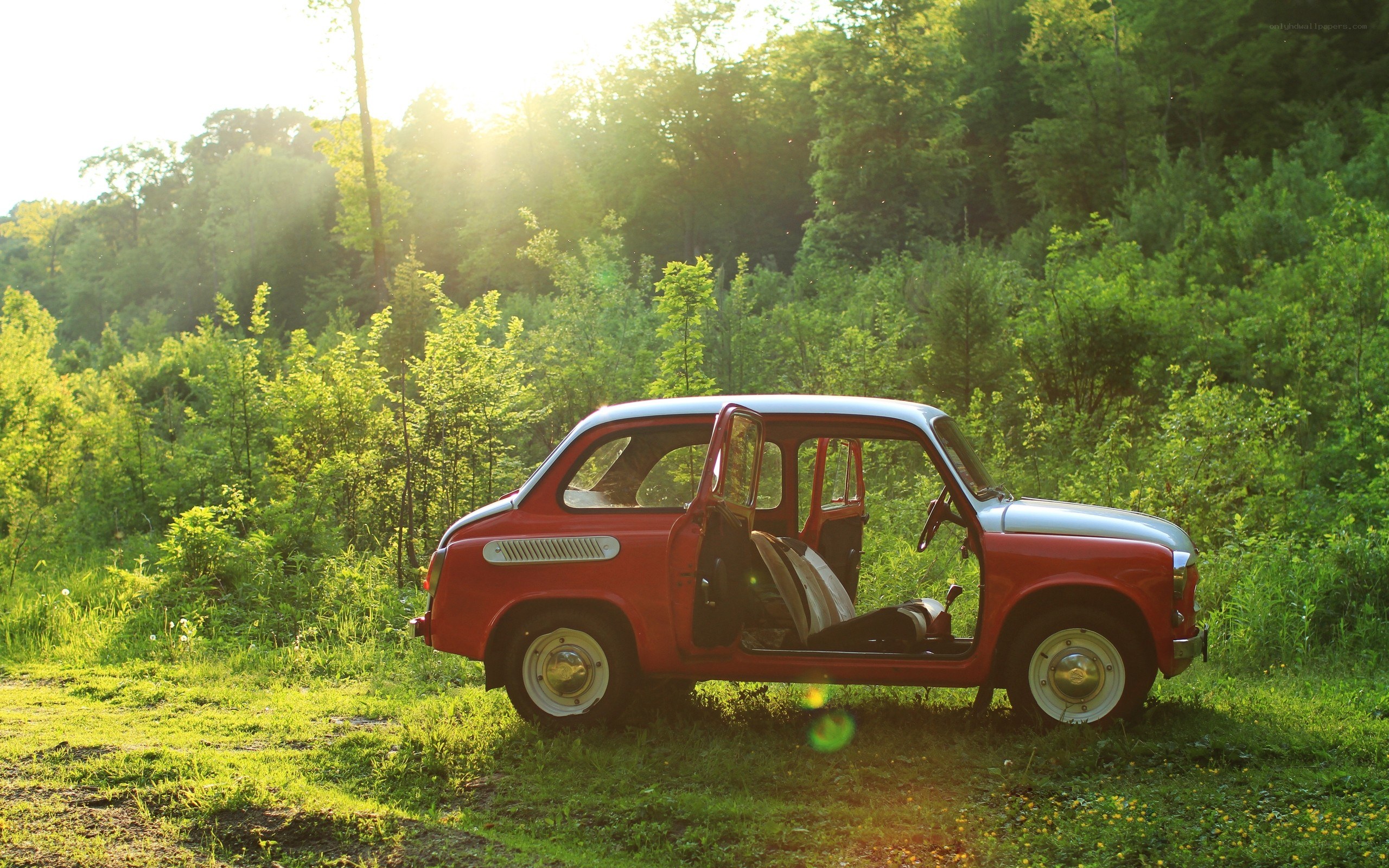 Red car in forest at sunset
