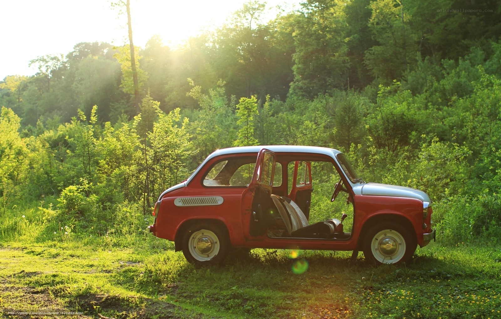 Red car in forest at sunset