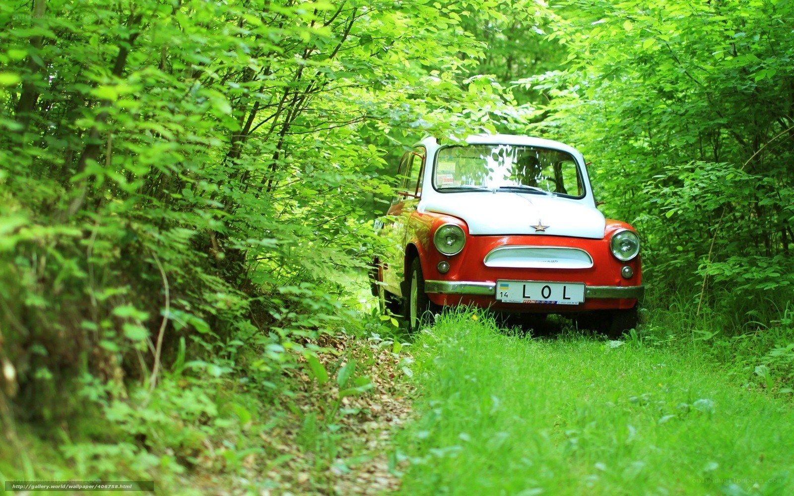 Red car in forest path