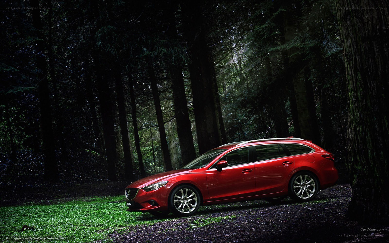 Red car in forest