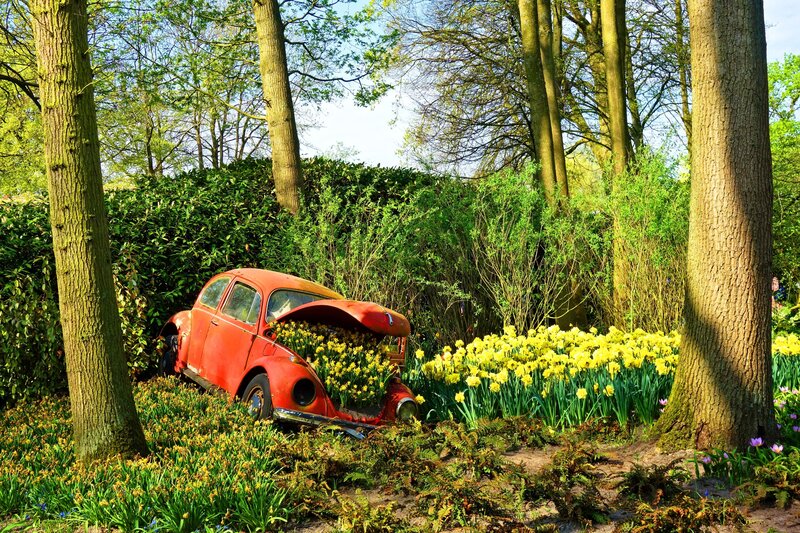 Red Car in Garden