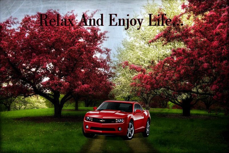 Red Car in Park