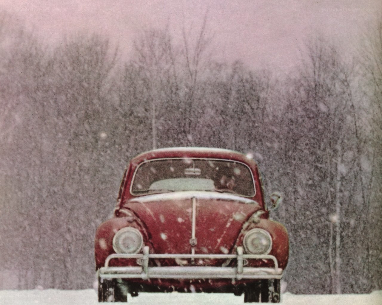 Red car in snowy forest