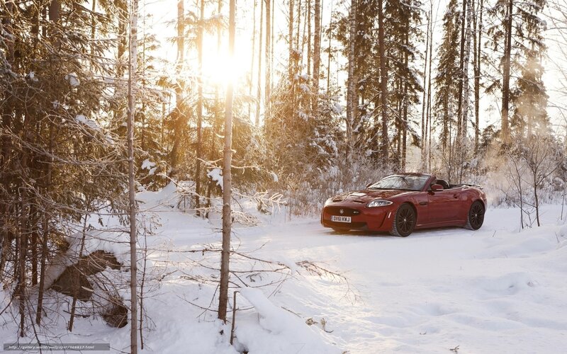 Red car in snowy forest
