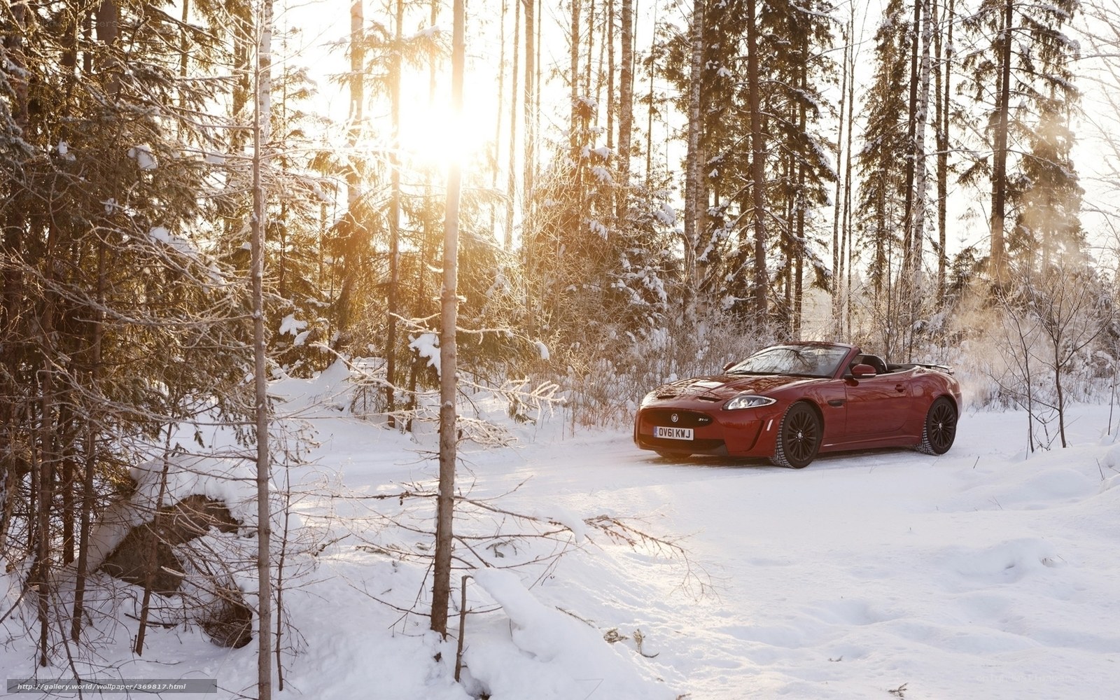 Red car in snowy forest
