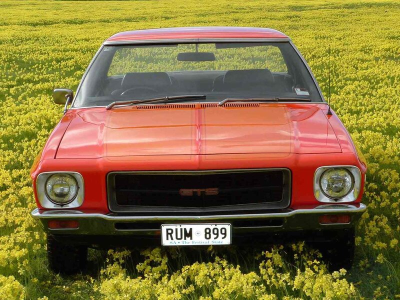 Red car in yellow field