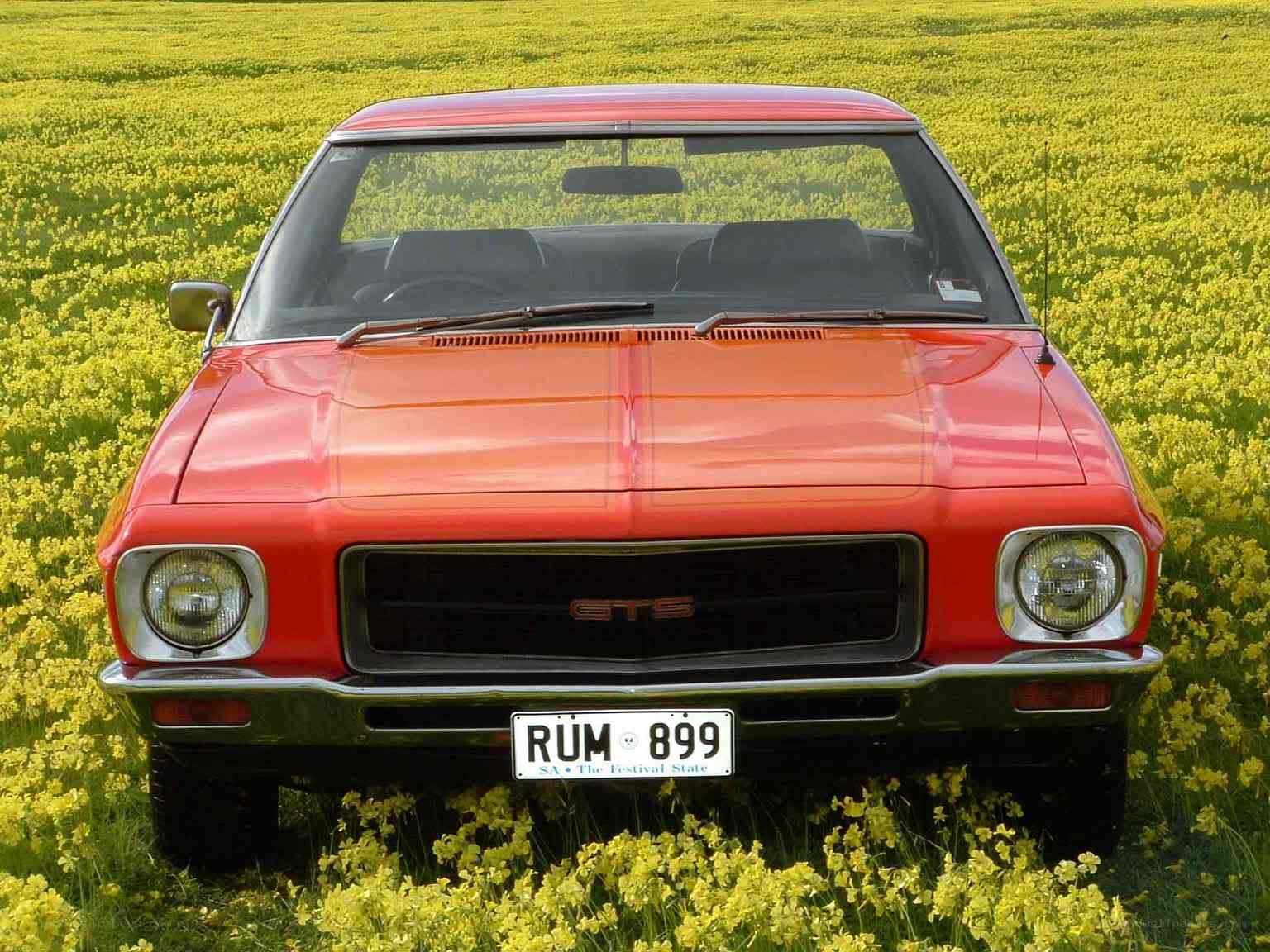 Red car in yellow field