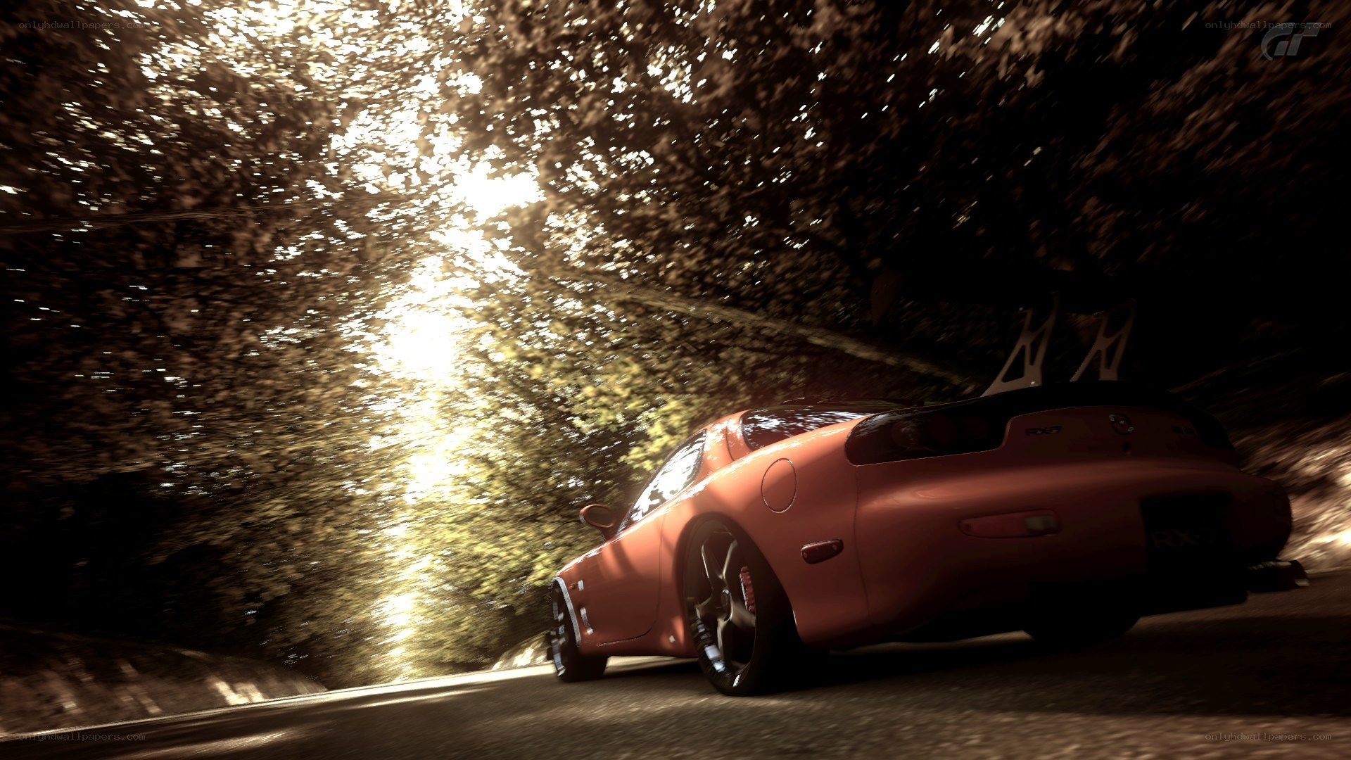 Red car on a forest road