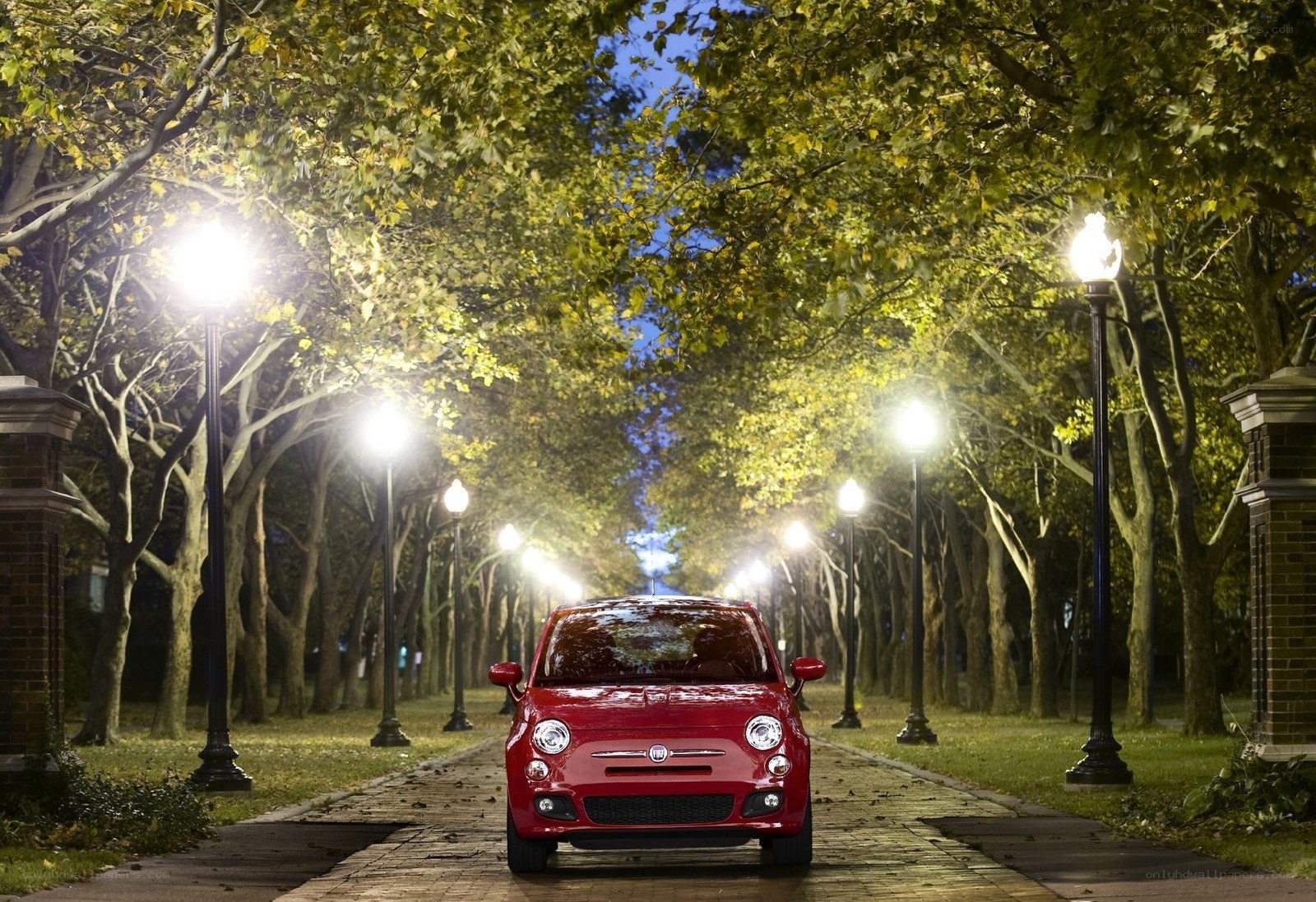 Red car on a tree-lined path