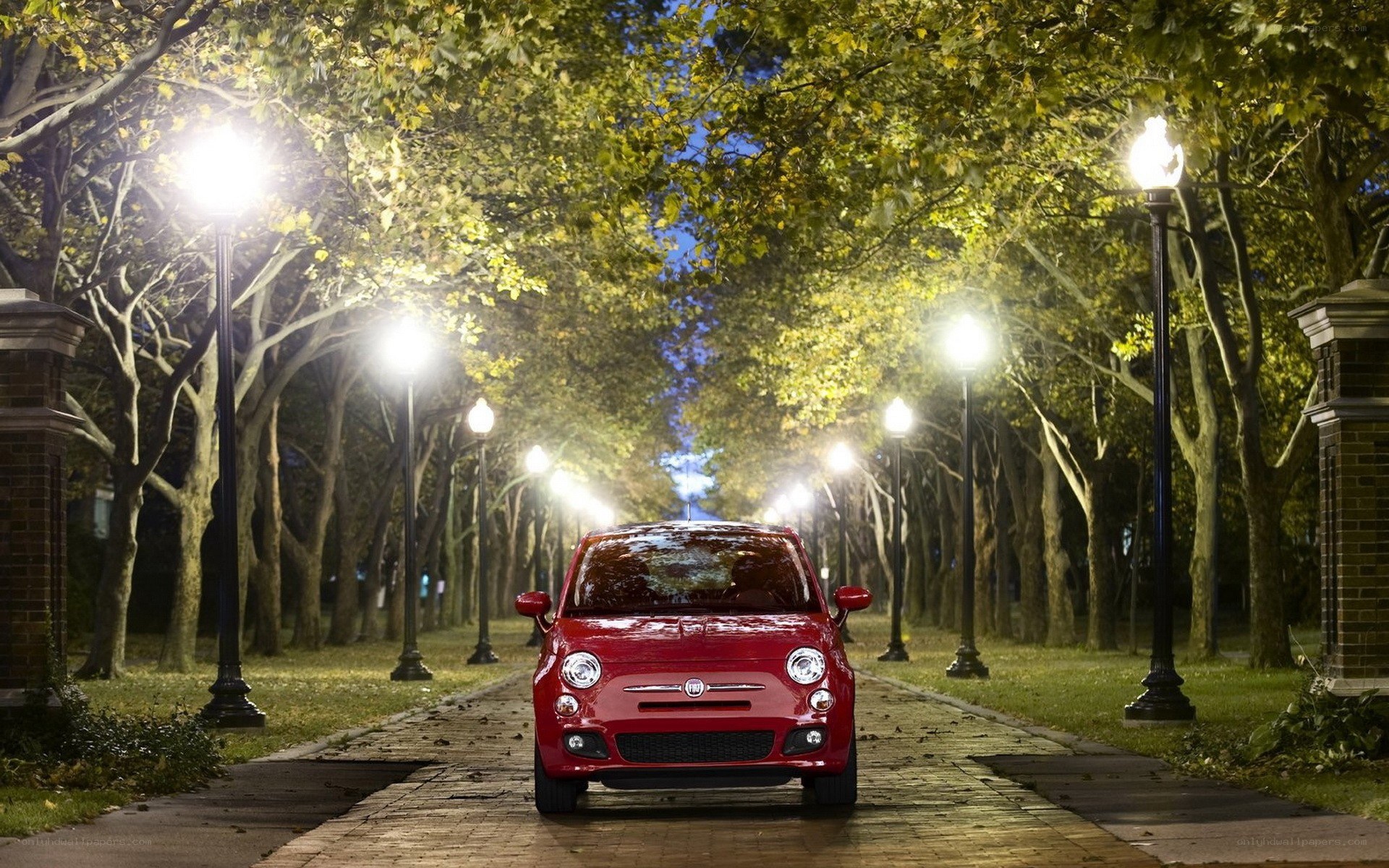 Red car on a tree-lined path