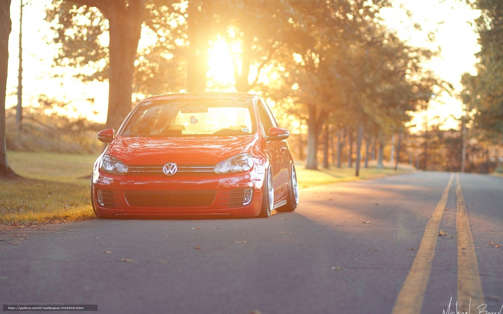 Red car on a tree-lined road