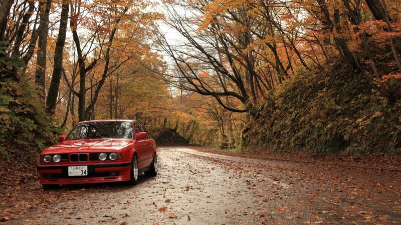 Red car on autumn road