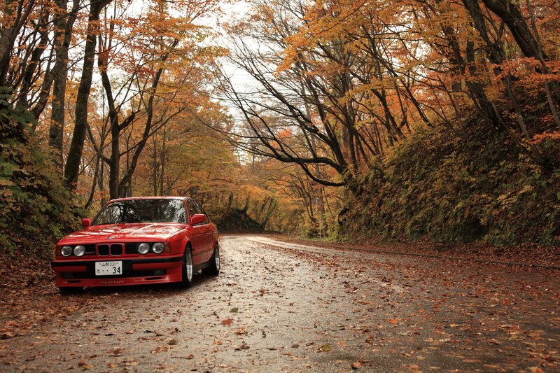 Red Car on Autumn Road — Serene