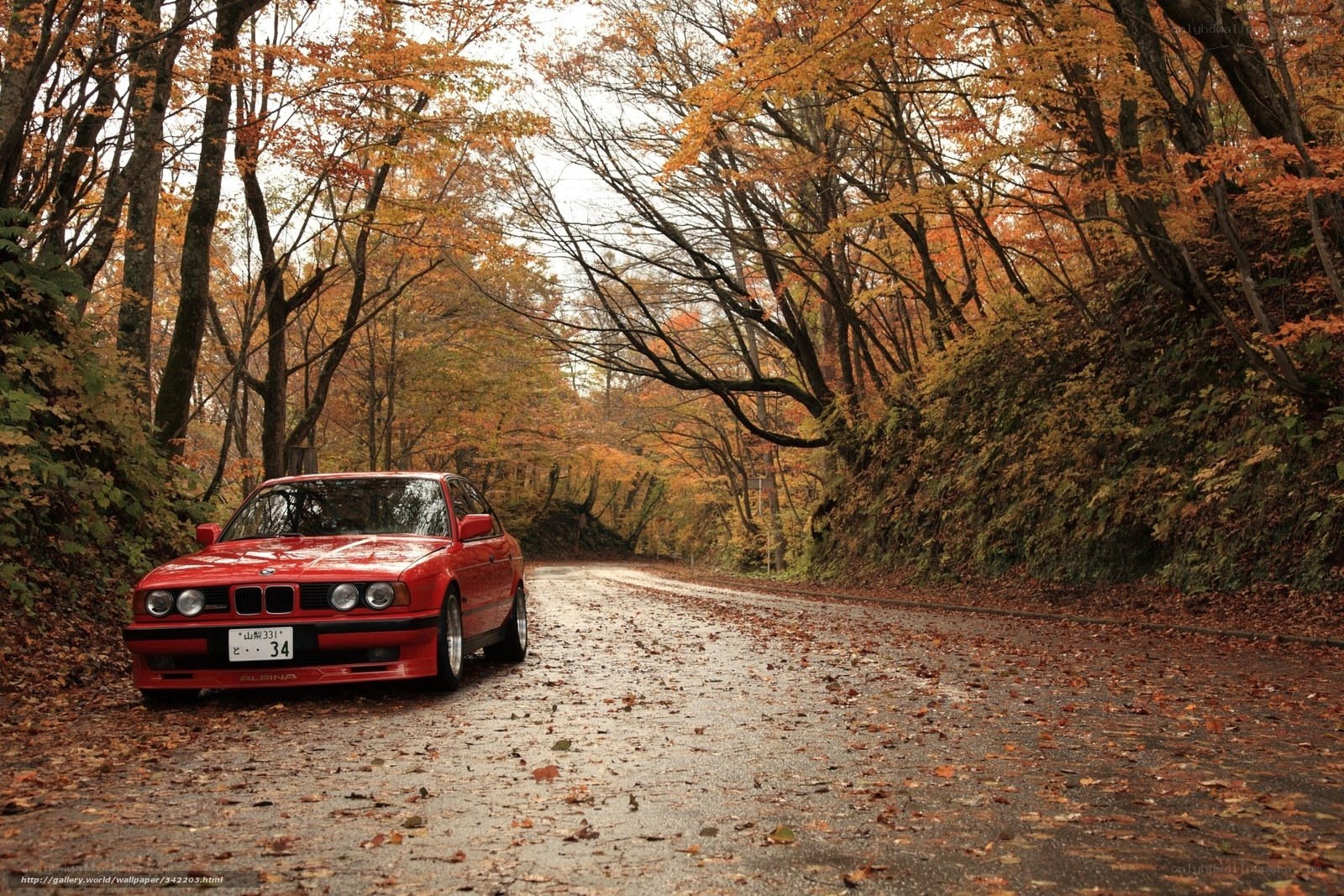 Red car on autumn road