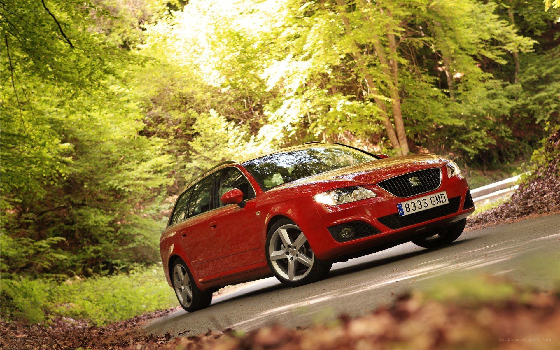 Red car on forest road