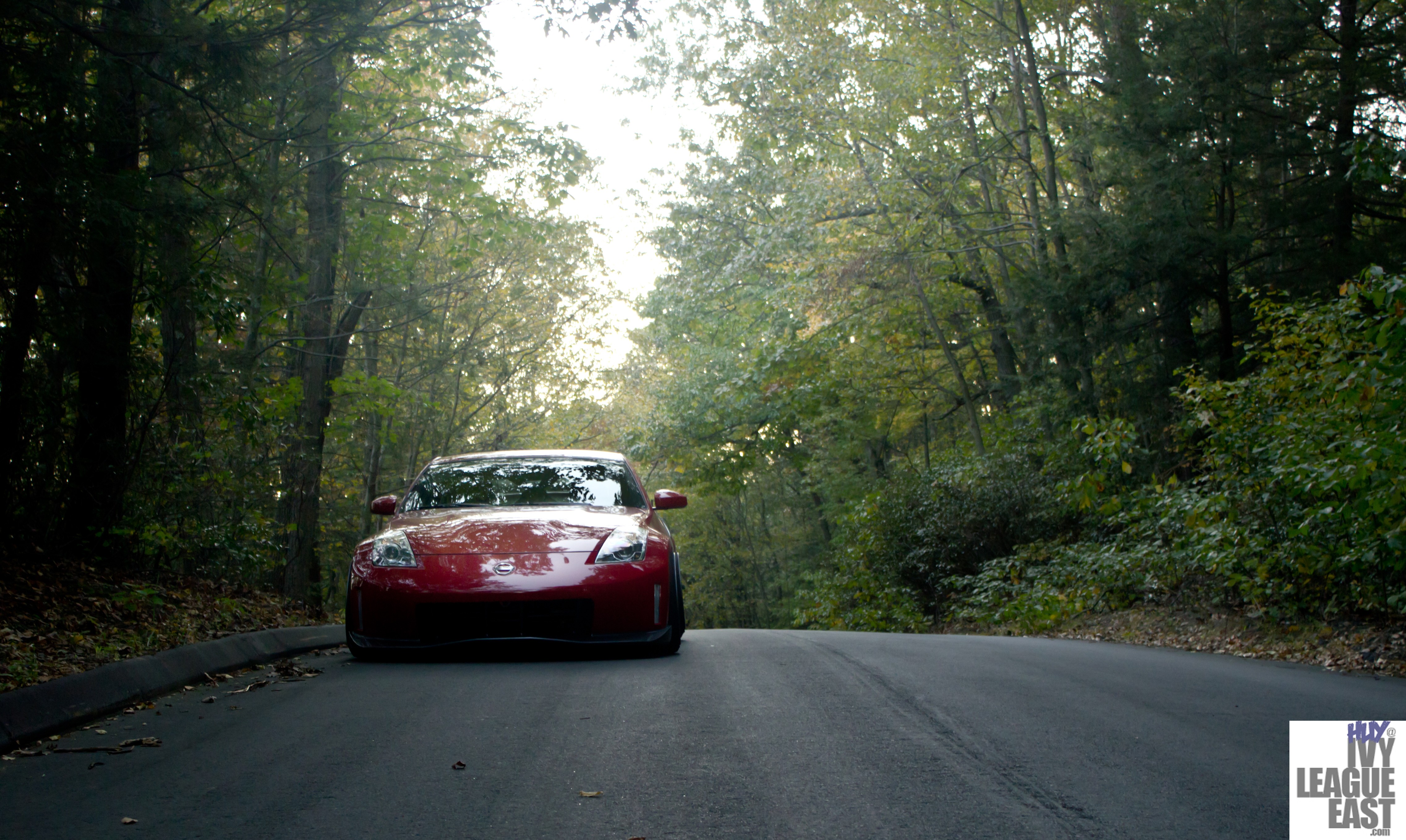 Red car on forest road
