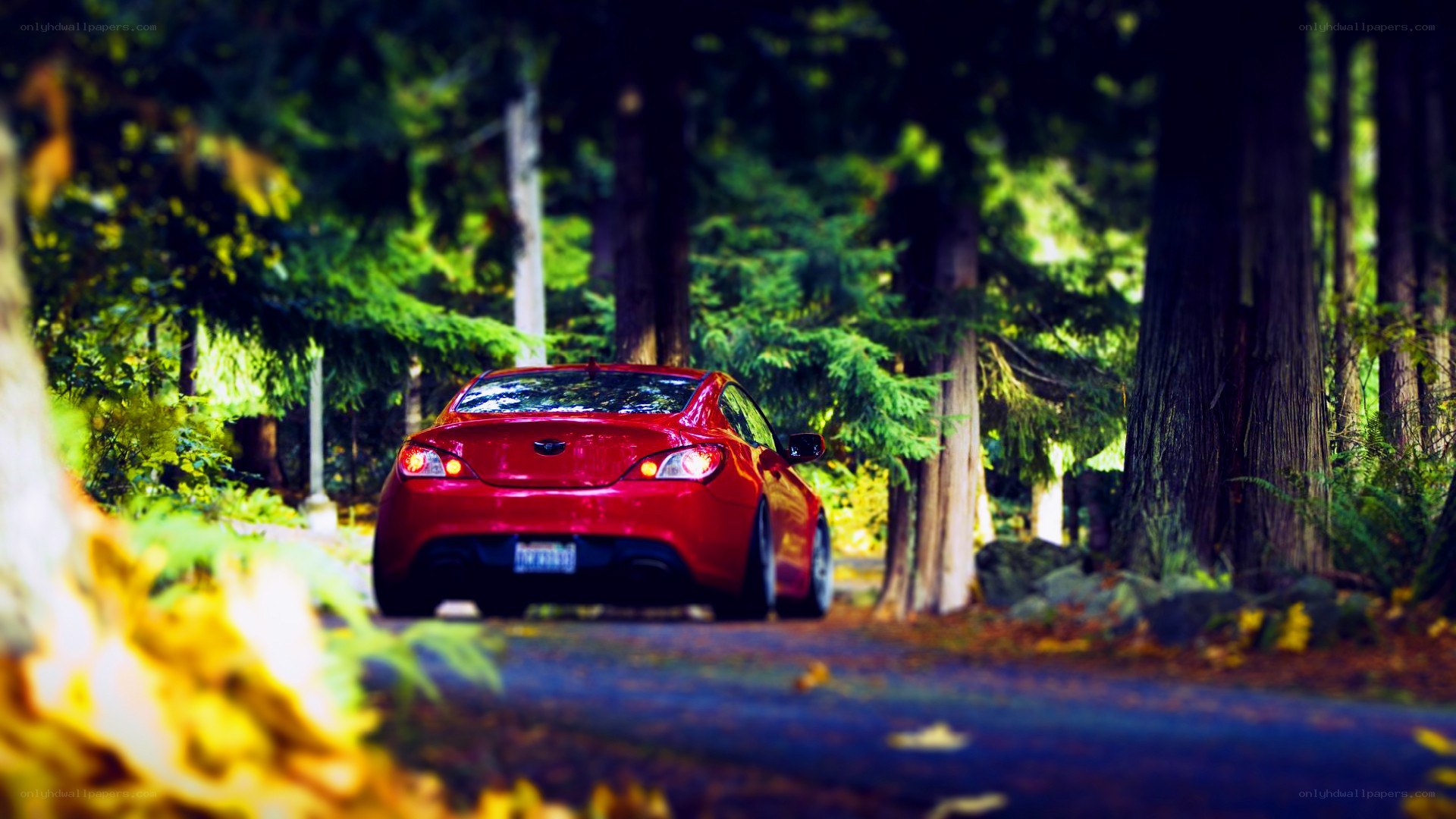 Red car on forest road