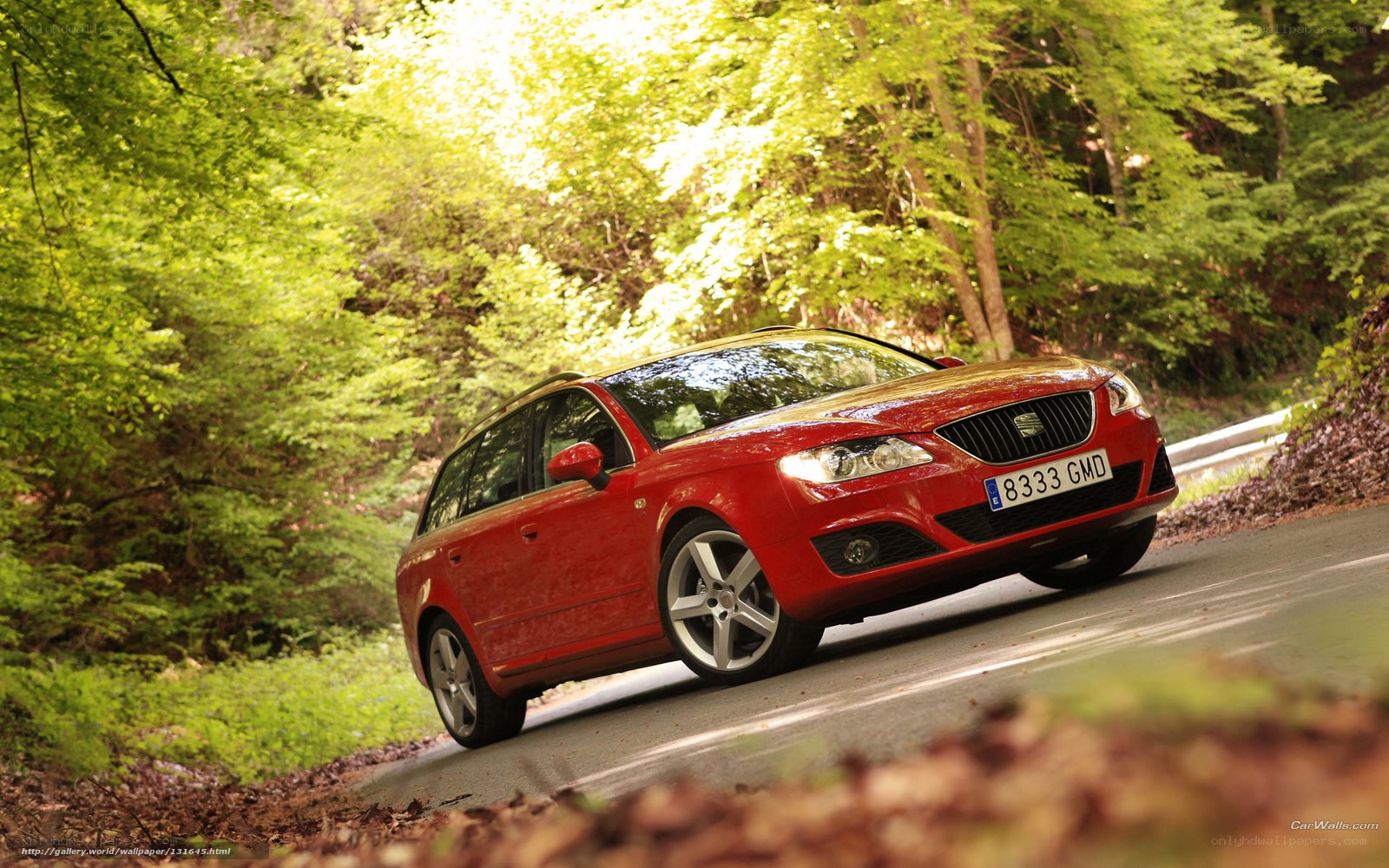 Red car on forest road