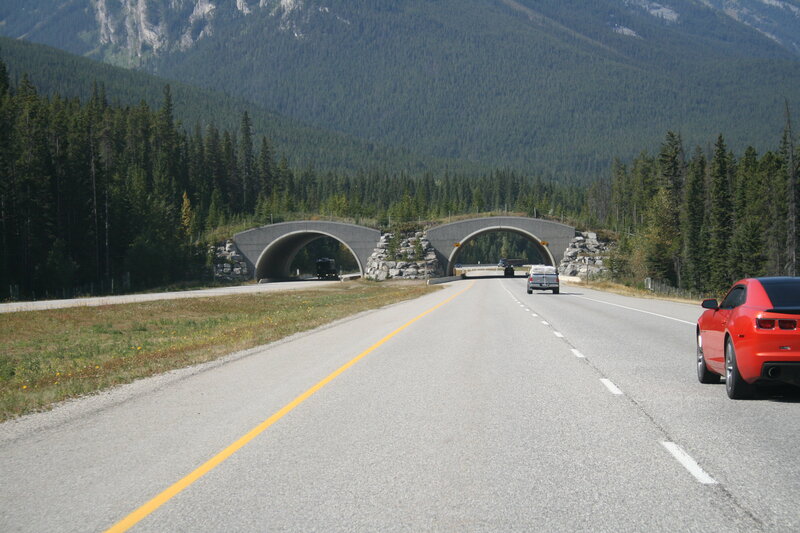 Red Car on Highway — Gray