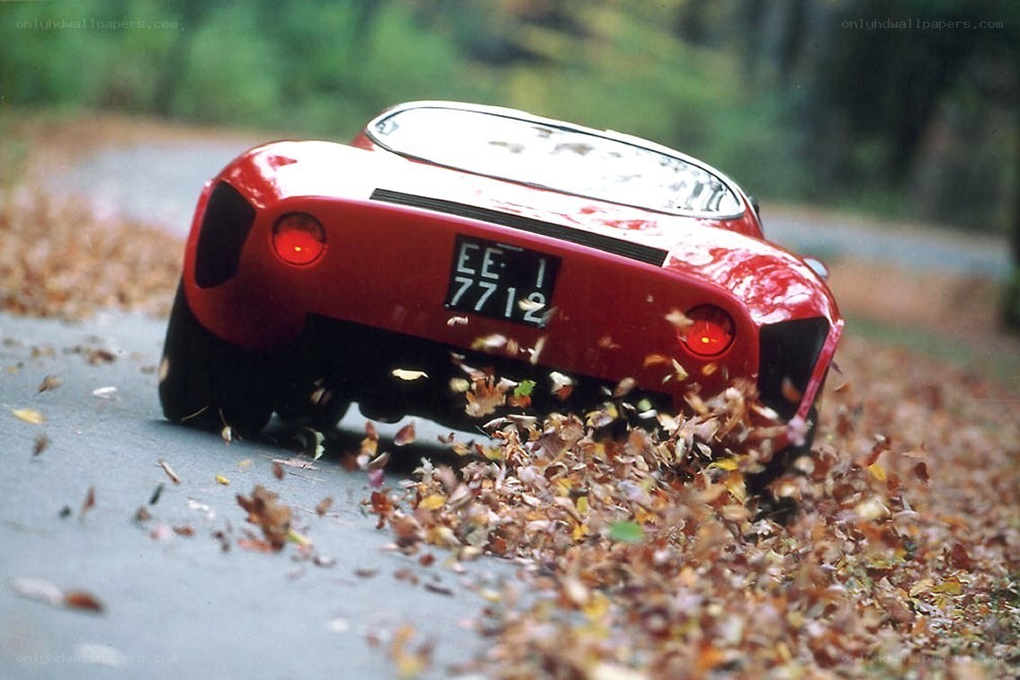 Red car on leaf-covered road