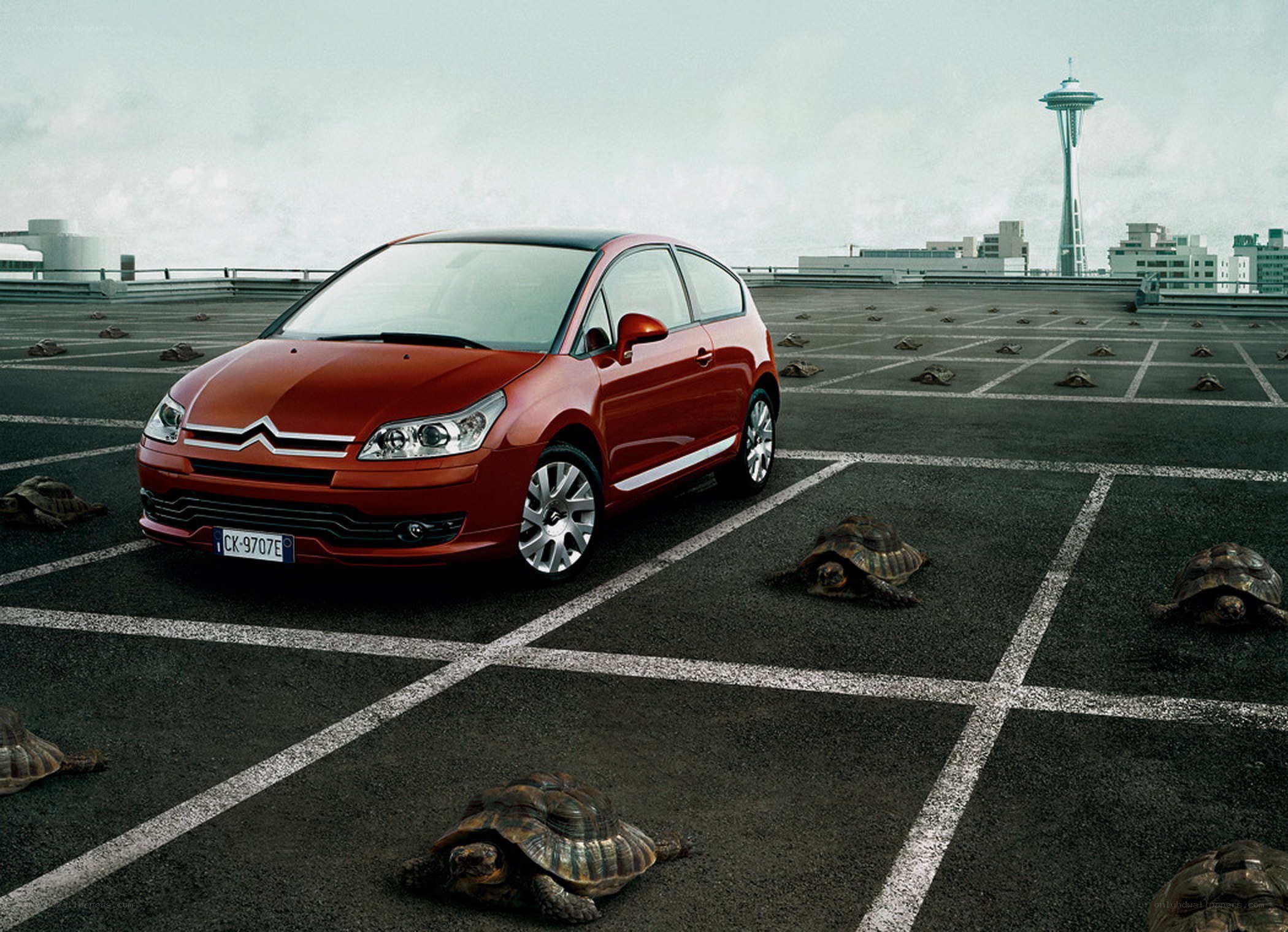 Red car on rooftop with turtles