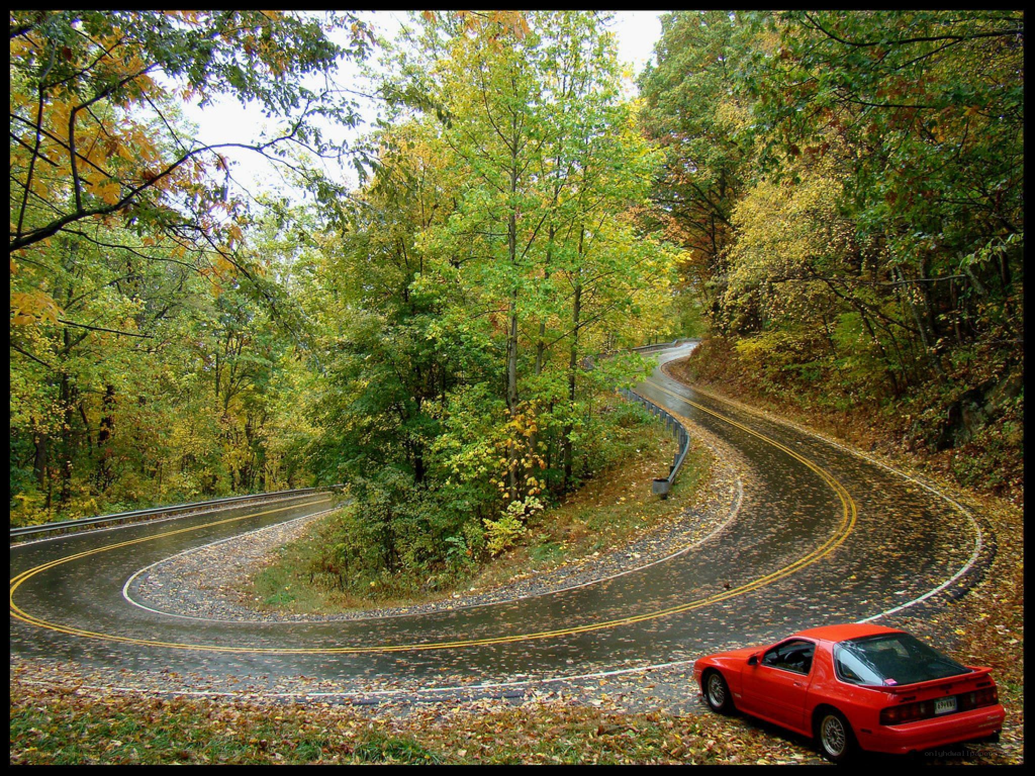 Red car on winding forest road