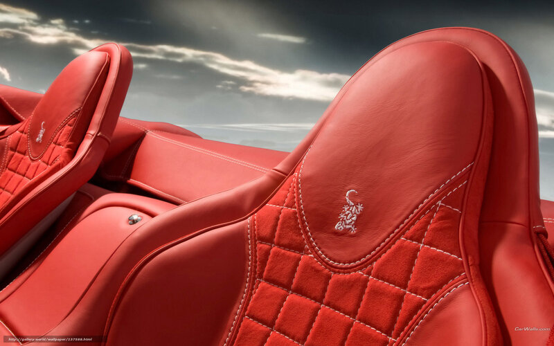 Red Car Seats