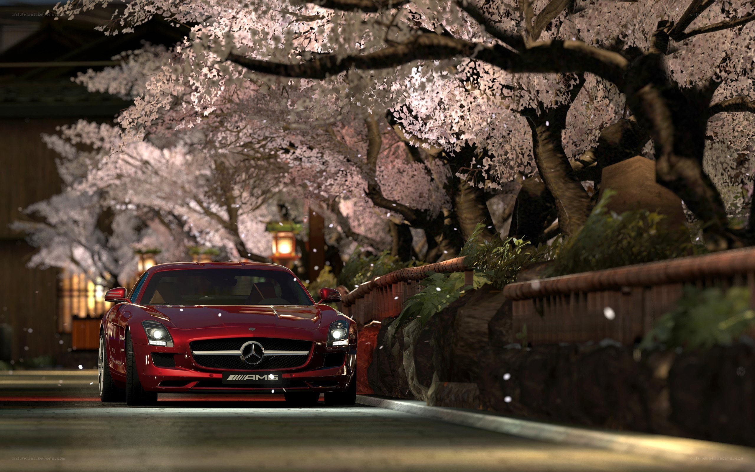Red car under cherry blossoms