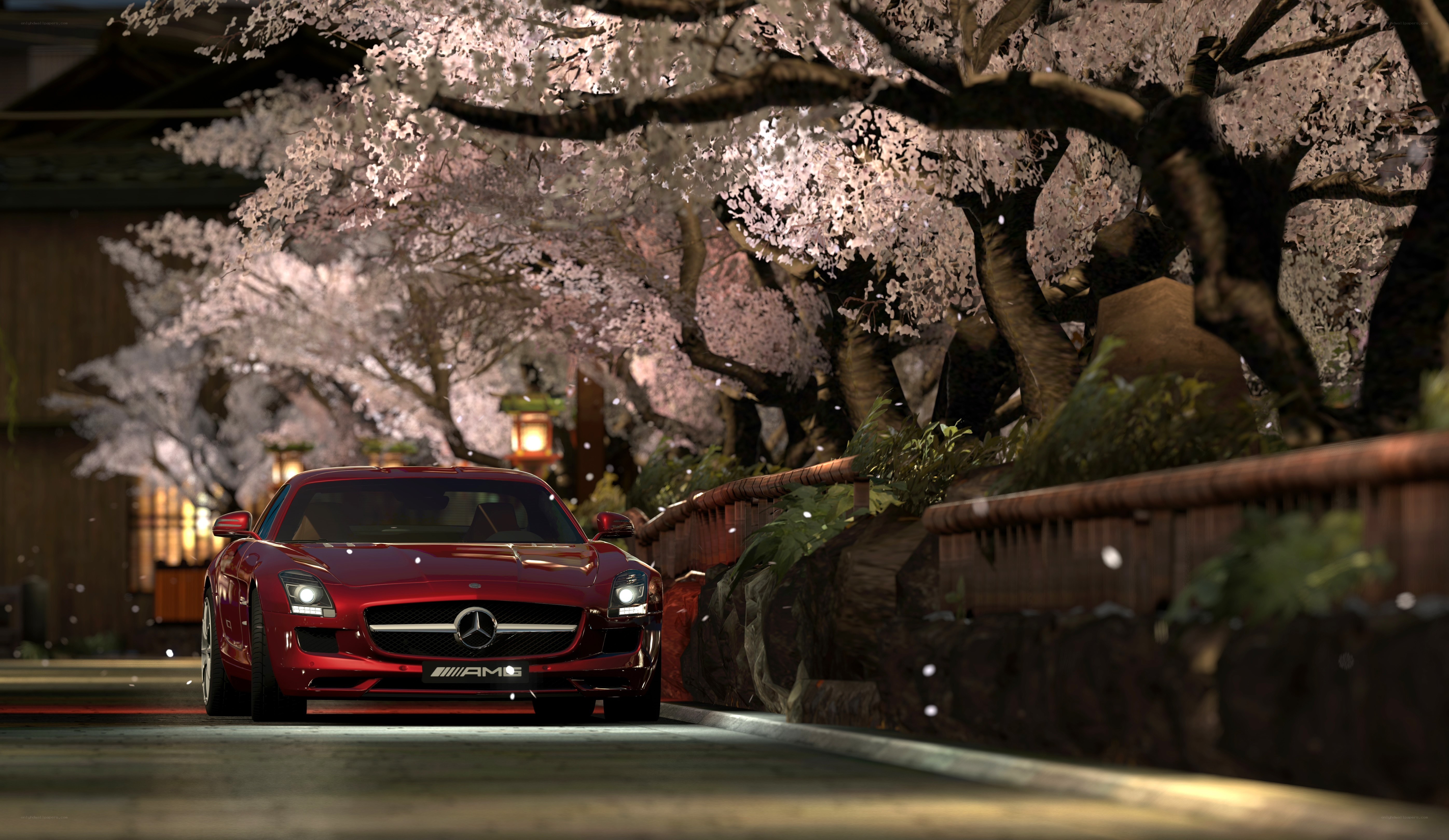 Red car under cherry blossoms