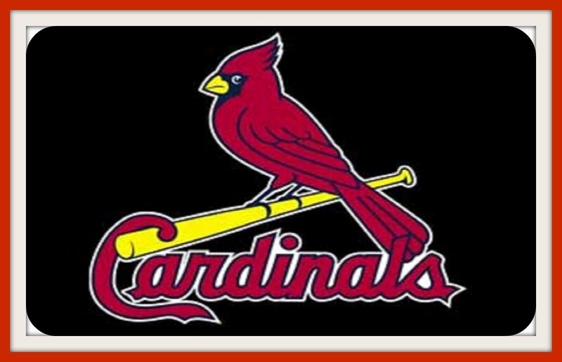 Red Cardinal Bird — Black