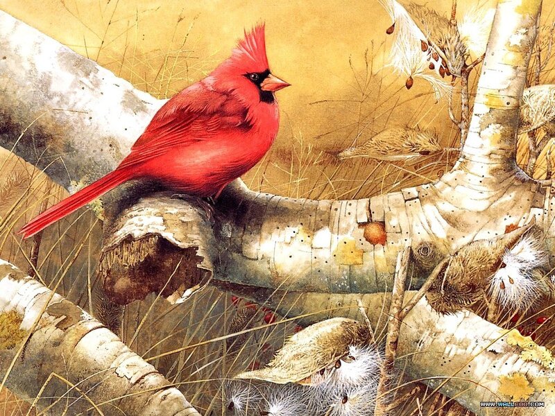 Red Cardinal Bird — Calm, Autumn, Painting