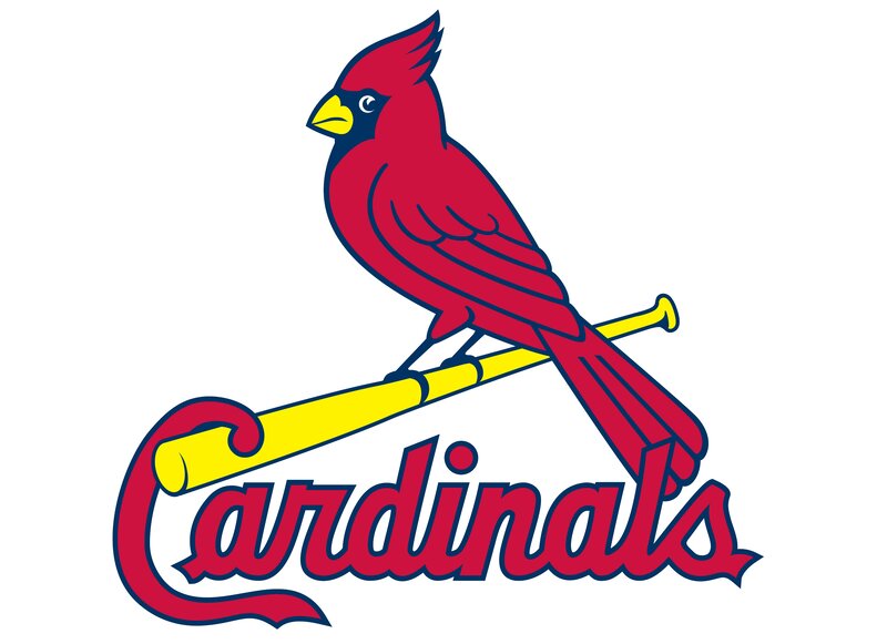 Red Cardinal Bird — Confident