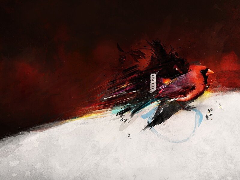 Red Cardinal Bird — Dramatic, Digital Art