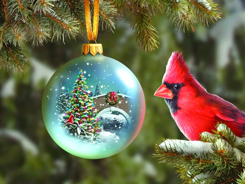 Red Cardinal Bird — Festive, Winter, Digital Art