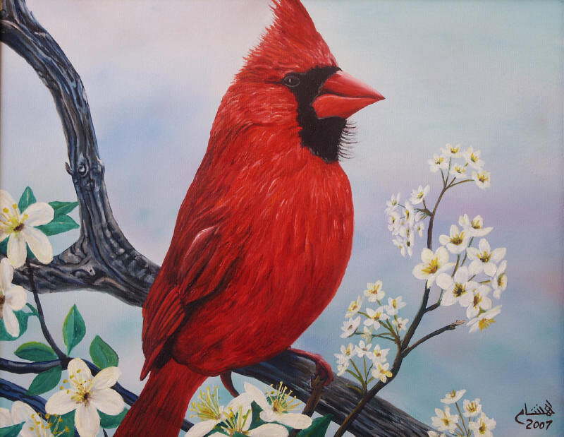 Red Cardinal Bird — Serene, Spring, Painting