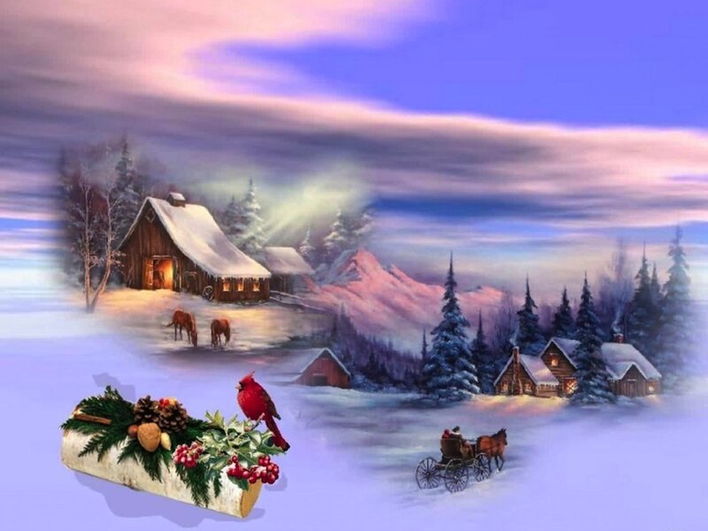 Red Cardinal in Winter — Purple