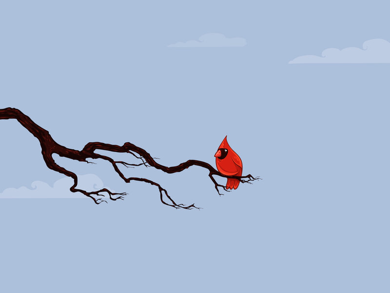 Red Cardinal on Branch — Calm, Illustration