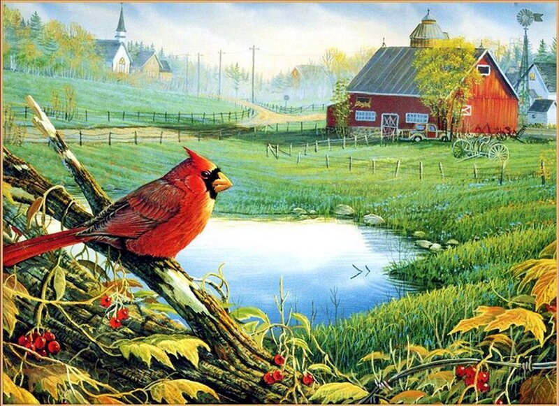 Red Cardinal on Branch — Serene, Morning