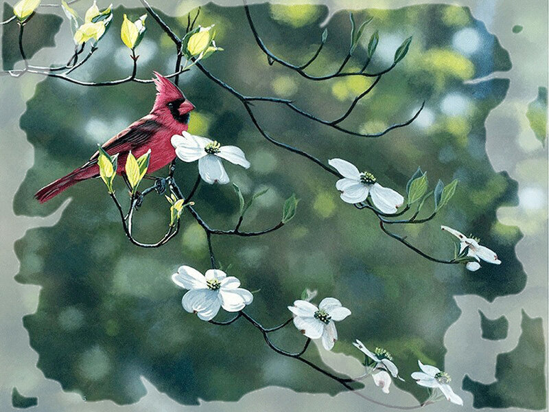 Red Cardinal on Branch — Serene, Spring, Painting