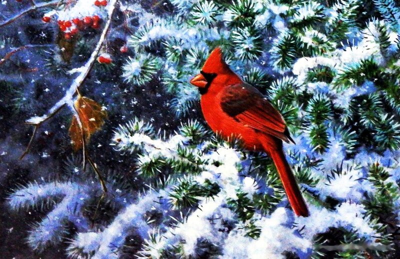 Red Cardinal on Branch — Serene, Winter, Painting