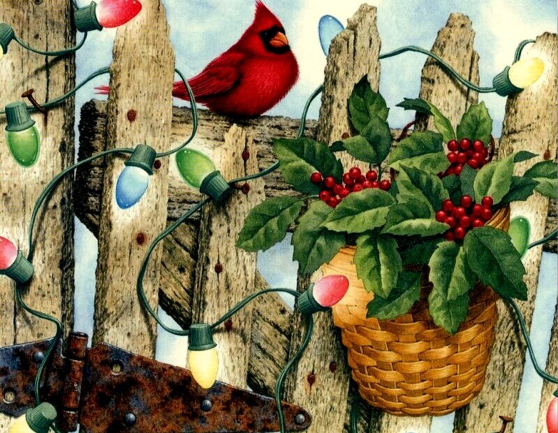 Red Cardinal on Fence