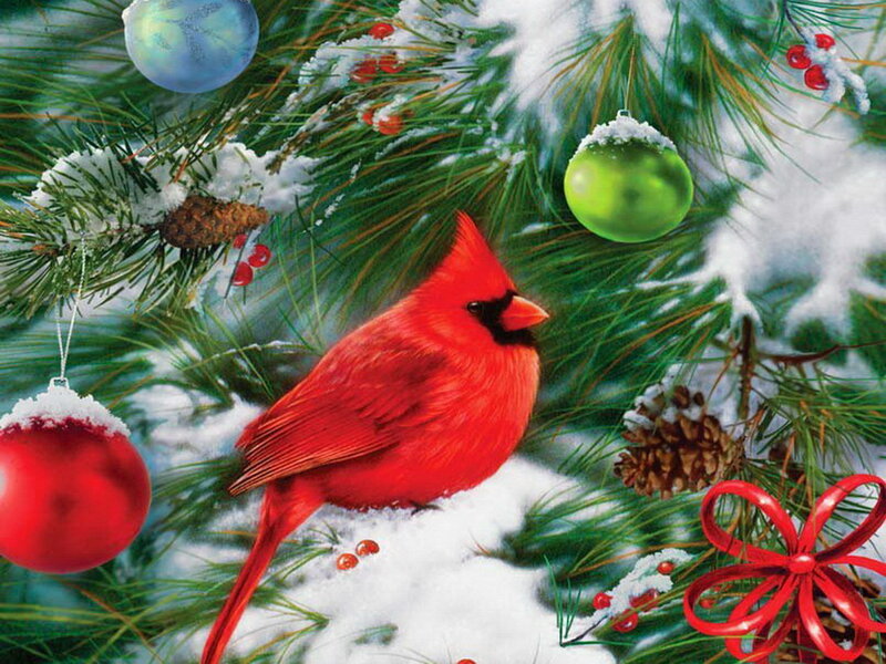 Red Cardinal on Tree