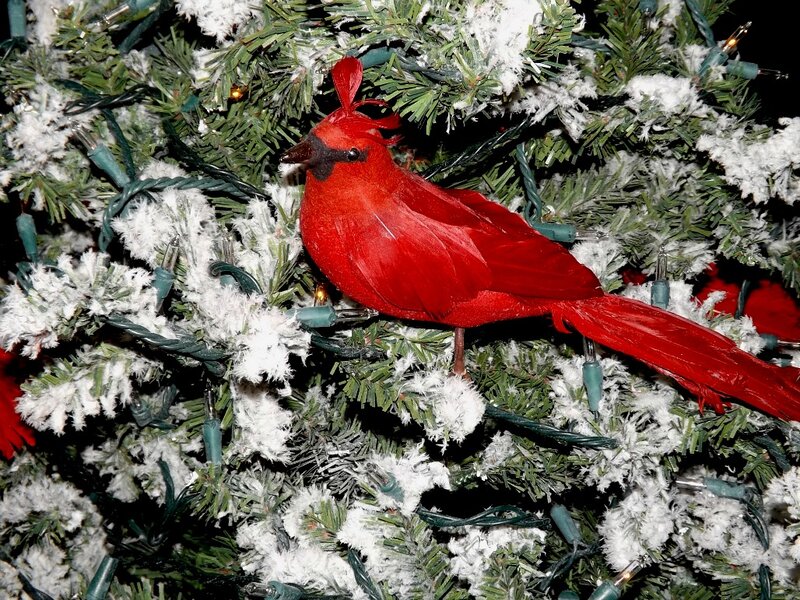 Red Cardinal Ornament