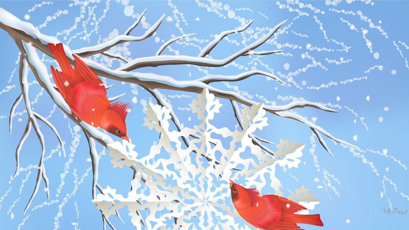 Red Cardinals on Branch