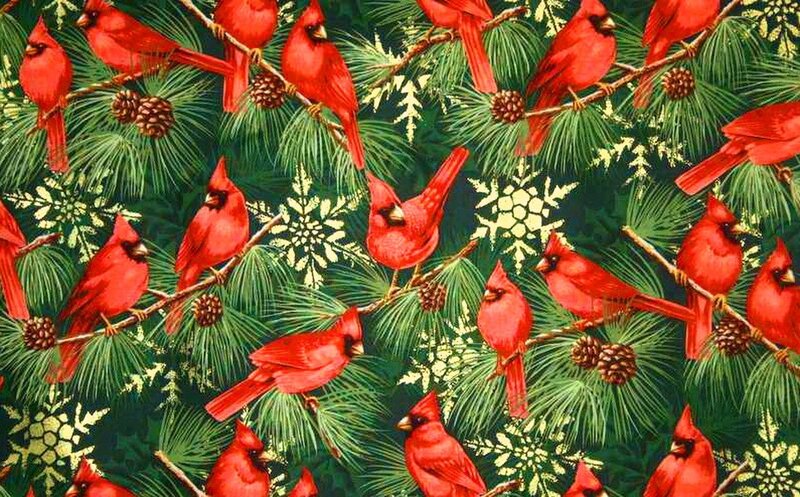 Red Cardinals on Pine Branches
