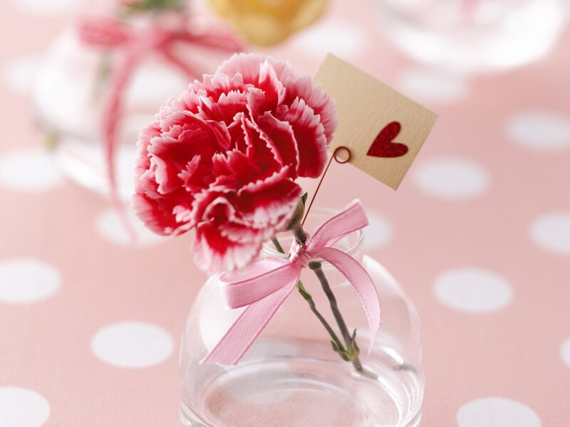 Red Carnation in Vase — Pink