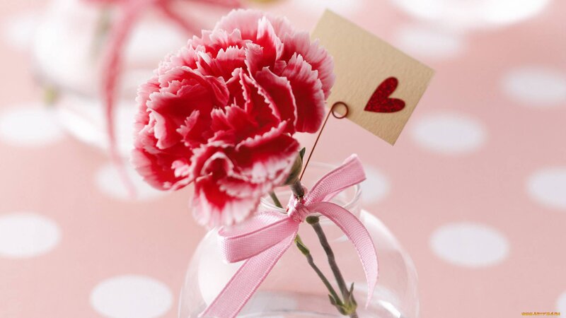 Red Carnation in Vase