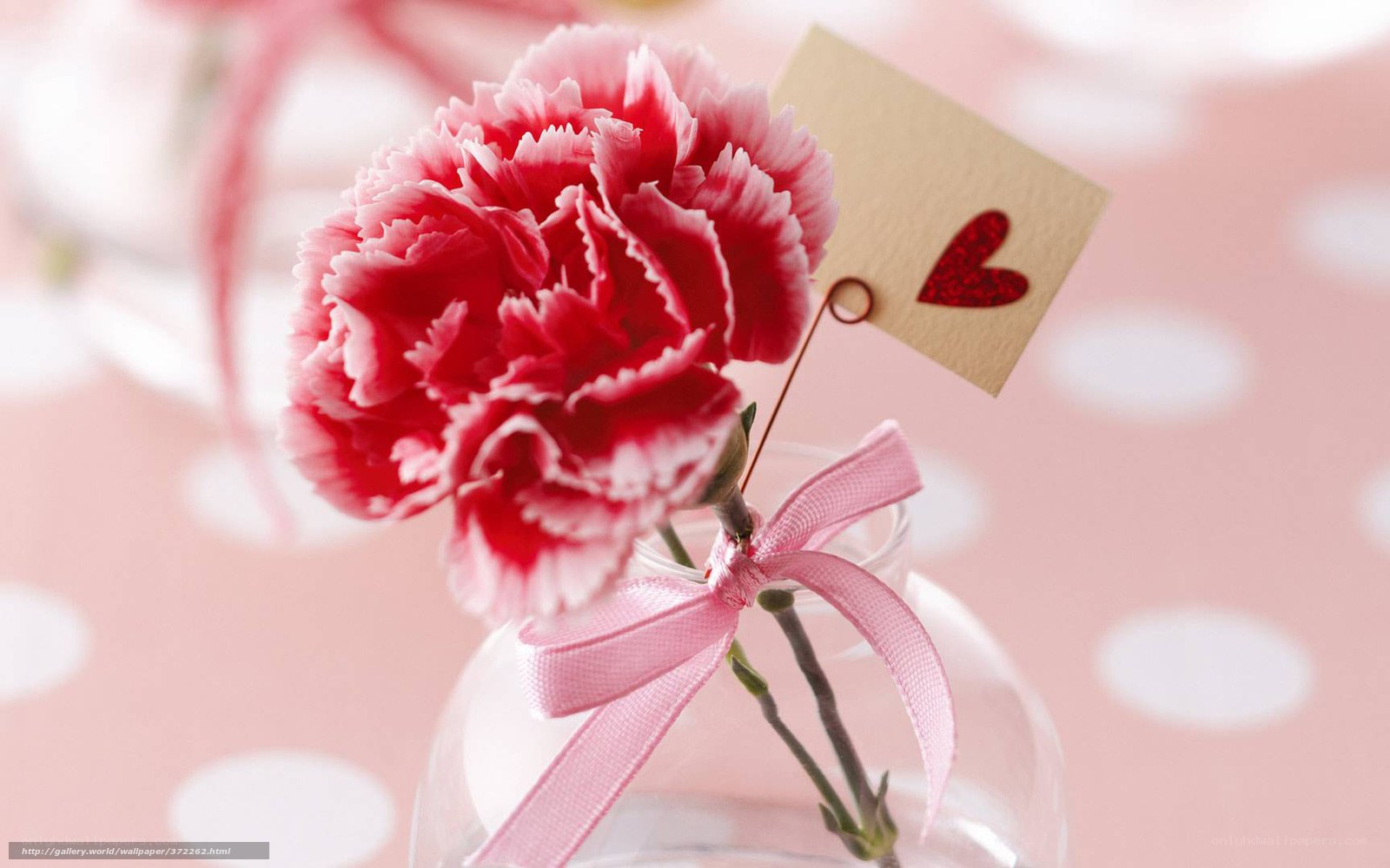 Red carnation with heart tag